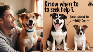 Know-When-to-Seek-Help
