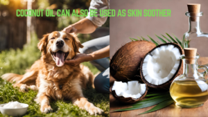 Coconut-oil-can-also be-used-as-skin-soother