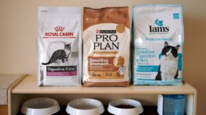 Iams-Proactive-Health-Sensitive-Digestion-&-Skin