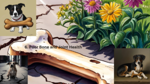 6. Poor-Bone-and Joint-Health