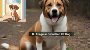 8. Irregular-Urination