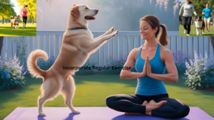 Incorporate Regular Exercise OF DOG