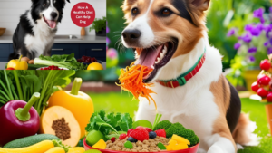 How-to-Reduce-the-Risk-of-Cancer-in-Dogs-Through-Diet-and-Lifestyle