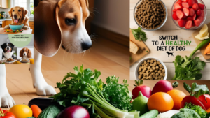 Switch-to-a-Healthy-Diet