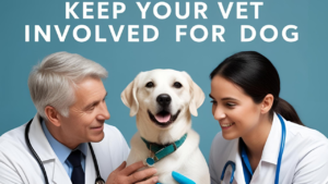 Keep-Your-Vet-Involved