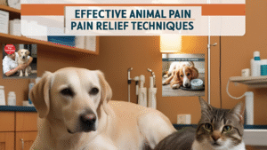 10. Animal-Pain-Relief-Techniques