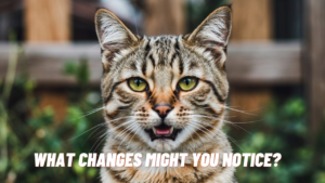 What-Changes-Might-You-Notice?